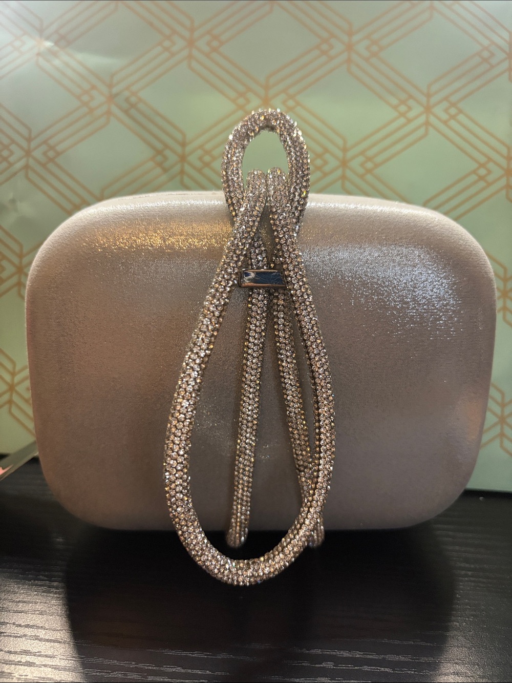 Nina Sparkling silver Crystal Wristlet Clutch